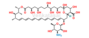 Picture of Amphotericin B