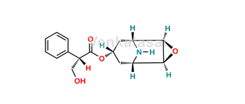 Picture of Hyoscine Hydrobromide EP impurity B