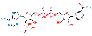 Picture of Β-Nicotinamide Adenine Dinucleotide Phosphate