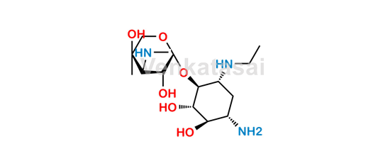 Picture of Netilmicin EP Impurity B