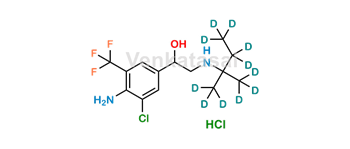 Picture of Mapenterol-D11 hydrochloride