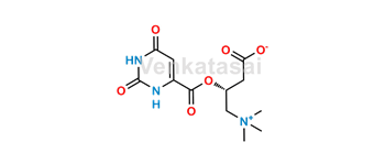 Picture of L-Carnitine Orotate