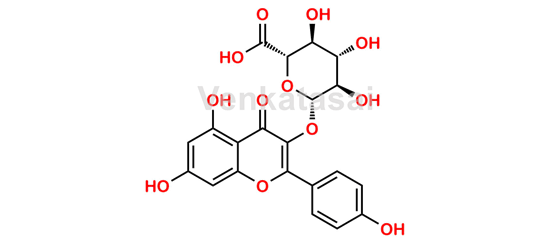 Picture of Kaempferol-3-Glucuronide