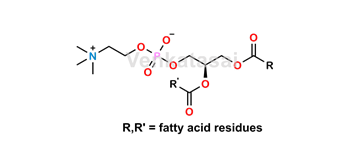 Picture of L-α-Phosphatidylcholine