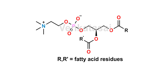 Picture of L-α-Phosphatidylcholine