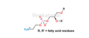 Picture of Phosphatidylethanolamine