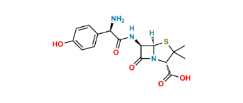 Picture of Amoxicillin