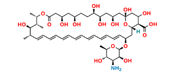 Picture of Amphotericin B