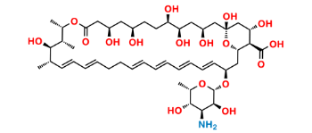 Picture of Amphotericin B EP Impurity A