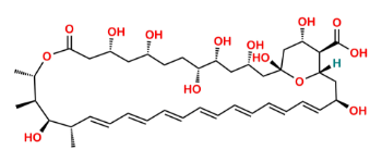 Picture of Amphoteronolide B