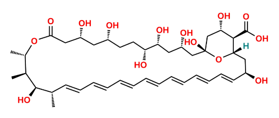 Picture of Amphoteronolide B