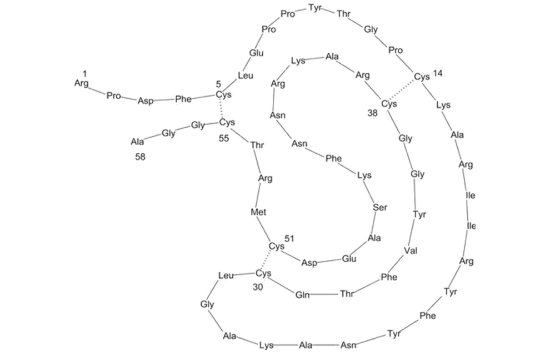 Picture of Aprotinin