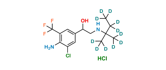 Picture of Mapenterol-D11 hydrochloride