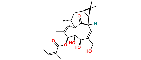 Picture of Ingenol Mebutate 