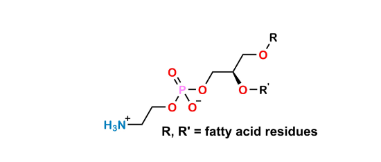 Picture of Phosphatidylethanolamine