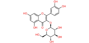 Picture of Isoquercetin