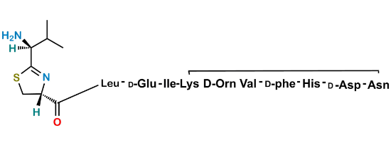 Picture of Bacitracin EP Impurity A