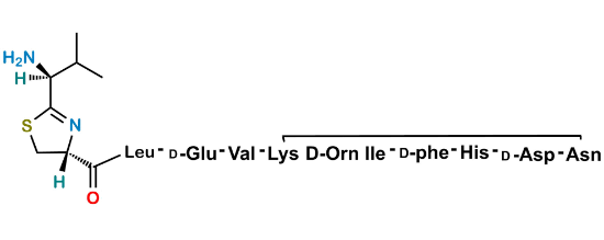 Picture of Bacitracin EP Impurity B