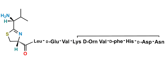 Picture of Bacitracin EP Impurity D