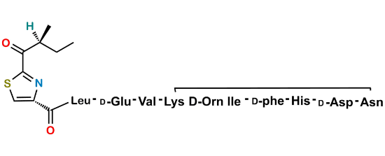 Picture of Bacitracin EP Impurity H