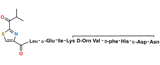 Picture of Bacitracin EP Impurity I
