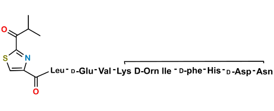 Picture of Bacitracin EP Impurity J