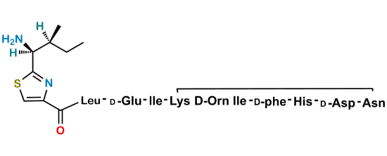 Picture of Bacitracin EP Impurity M