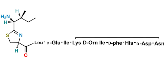 Picture of Bacitracin EP Impurity N