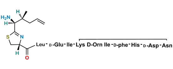 Picture of Bacitracin EP Impurity Q
