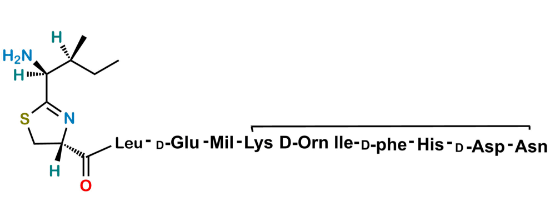 Picture of Bacitracin EP Impurity O