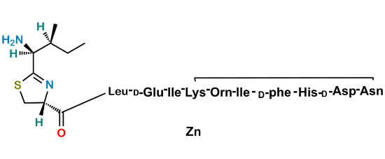 Picture of Bacitracin Zinc