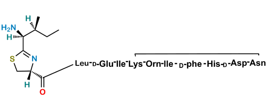 Picture of Bacitracin