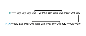 Show details for Terlipressin Dimer Impurity Picture of Terlipressin Dimer Impurity