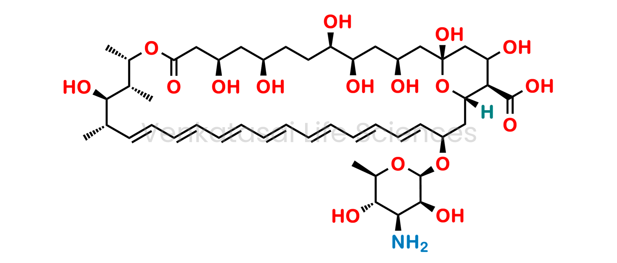Abelcet; Abelecet; AmBisome; Ampho-Moronal; Amphocin; Amphozone; Apothecon; Fungilin; Fungizona; Fungizone; Halizon;